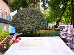 -成都七中(林荫校区)