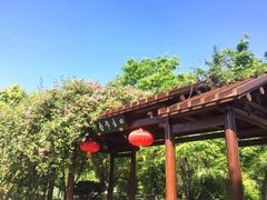 -鹅湖玫瑰文化园