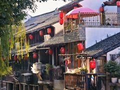 -枫泾丁氏烧卖(枫丽路店)