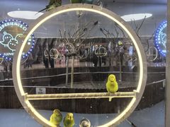-新奥购物中心
