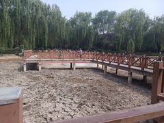 -丰台科技园生态主题公园