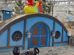 -南宫五洲植物乐园