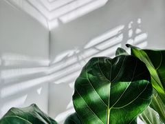 -Isofit 普拉提·婵柔工作室