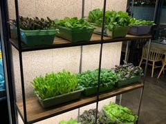 -番食园鲜食火锅(高新店)