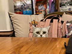 -more than meow吴止猫主题餐厅(承德 中船汇店)