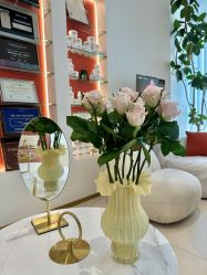 点击看大图 -WENDY·温迪皮肤管理