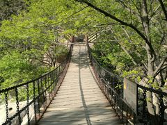 -崂山九水游览区