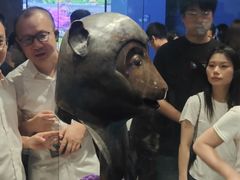 -广西壮族自治区博物馆