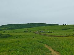 -塞罕坝国家级自然保护区