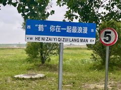 -盐城丹顶鹤湿地生态旅游区