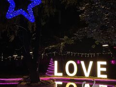 -枫花园汽车电影院(朝阳公园店)