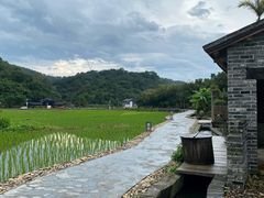 -古茗(惠来南门大街店)