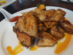 -百好乐宠物友好餐厅(朝外大街店)