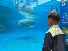 -海合安成都极地海洋公园