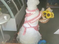-李大牛和刘大力手作甜品(凯德店)