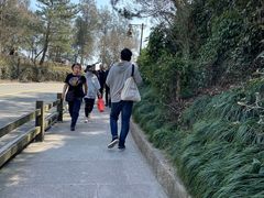 -普陀山风景区-佛顶山