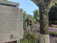 -上海鲜花港