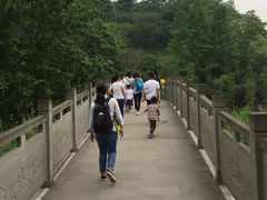 -重庆彩云湖湿地公园