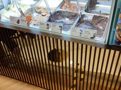-VENCHI 闻绮(北京汉光店)