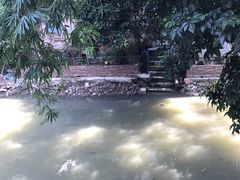 -小洲村