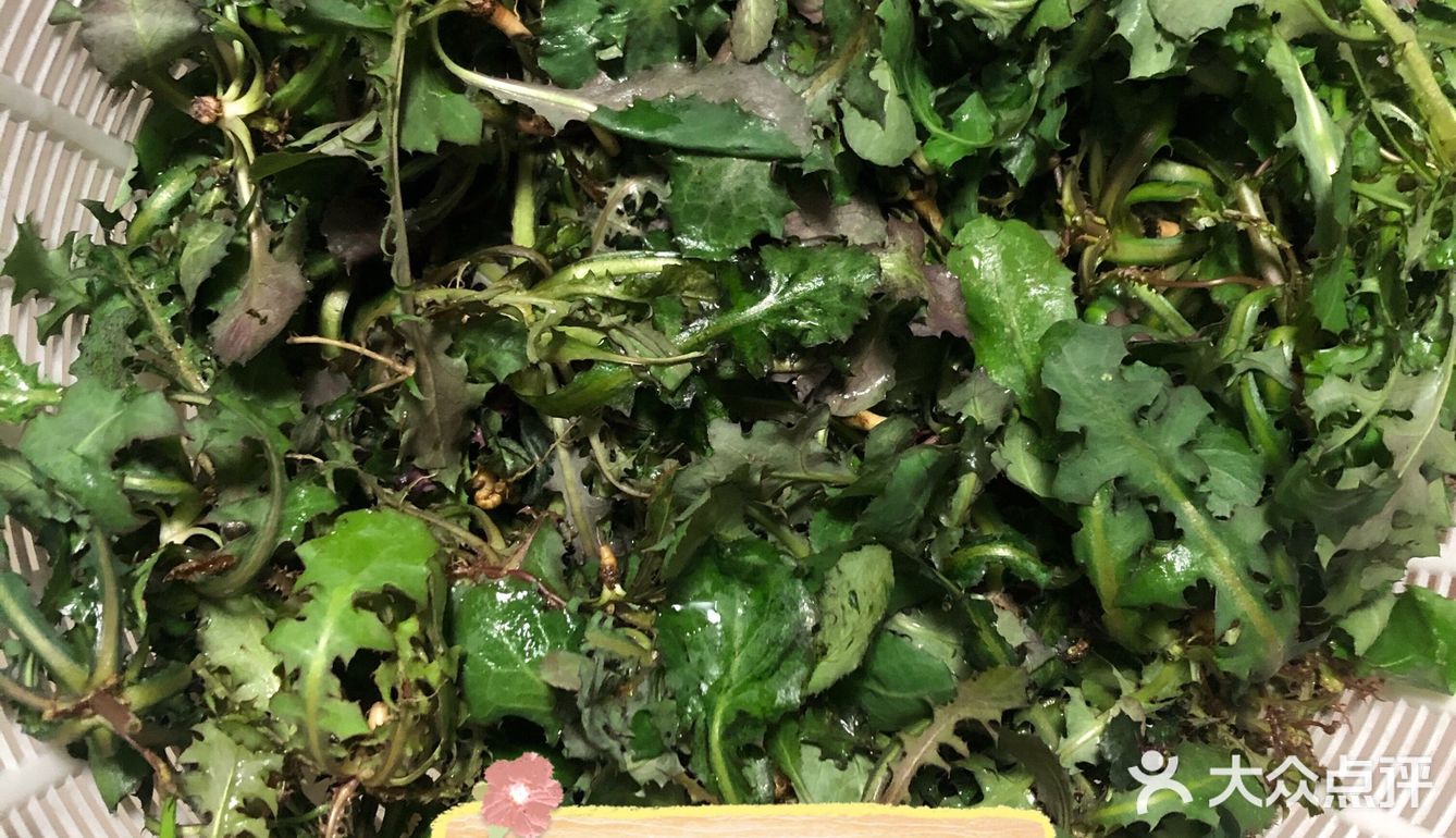 落落酱野菜摘起来