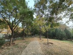 -永定河休闲森林公园