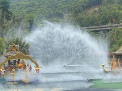 -西双版纳原始森林公园