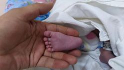 -复旦大学附属妇产科医院(杨浦院区)