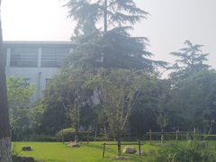 -七宝老街-闵行市民文化广场