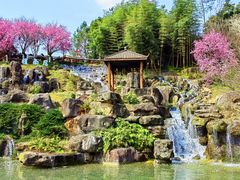 -秀丽东方
