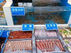 -双井轩(双井店)