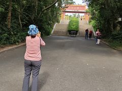 -三水森林公园