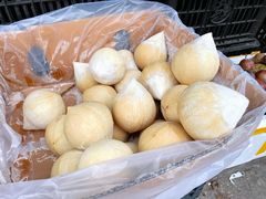 -兴隆华侨农场
