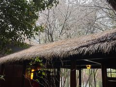 -洪湖悦兮半岛国际温泉度假村