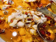 -雲蜀龙阁·金牌水煮鱼(方庄店)