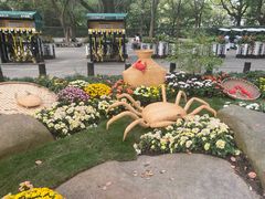 -上海共青森林公园