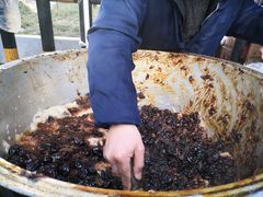 -马文章胖子甑糕(洒金桥店)