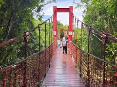 -上海吴淞炮台湾国家湿地公园