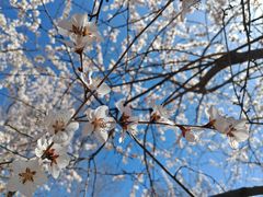 -滨河世纪广场公园