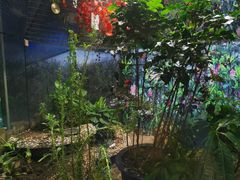 -上海大自然野生昆虫馆(东方明珠·爬宠昆虫探索中心)