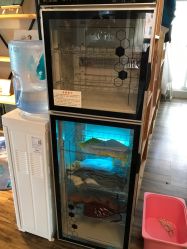 -小熊维尼高端儿童摄影(南山信和店)