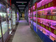 -花鸟鱼虫鲜花绿植市场(玉泉路店)