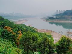 -金海湾滨江公园