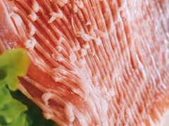 -京门老爆三·铜锅涮肉 爆肚(望京店)