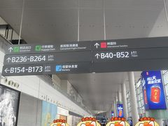 -广州白云国际机场-T2航站楼