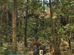 -浙江自然博物院(杭州馆)