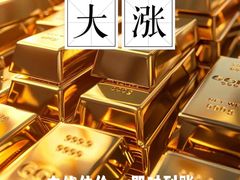 -海星奢选二手奢侈品手表包包鉴定回收寄卖(墨玉南路店)