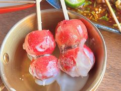 -野人部落(荷兰村店)