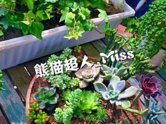 -84那年咖啡馆(李沧万达店)
