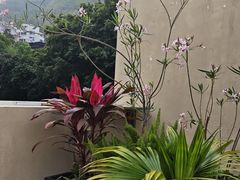 -villaa·别墅·融合菜西餐厅